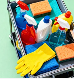 WARE WAY DISINFECTION KIT
